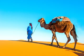 Caravane de chameaux dans le Sahara Maroc