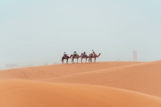 Randonnée à dos de chameau avec des touristes dans le désert du Sahara au Maroc
